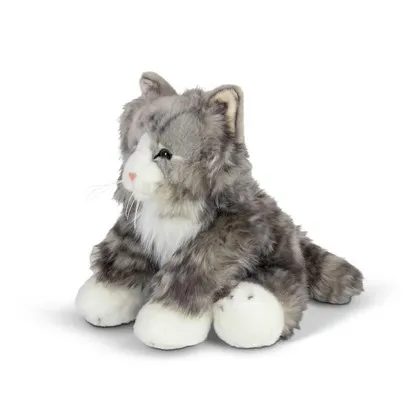 puszysty-kot-one-for-fun