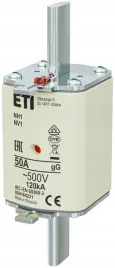 wkladka-bezpiecznikowa-nh1-gg-50a-500v-zwloczna