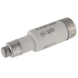 wkladka-d01-10a-t-gl-gg-400vac-e14