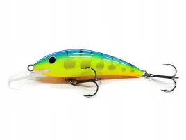 wobler-gloog-kalipso-80n-trb