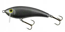 wobler-gloog-hermes-70-ns