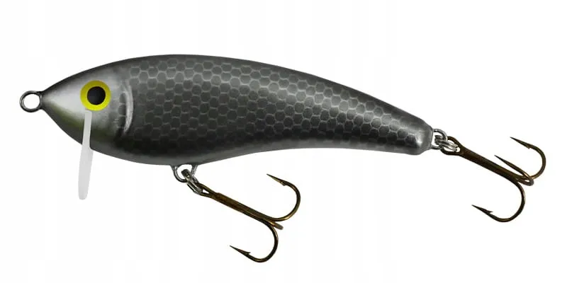 wobler-gloog-hermes-70-ns