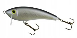 wobler-gloog-hermes-70-np