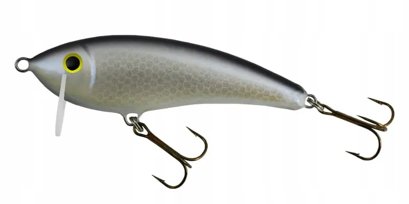 wobler-gloog-hermes-70-np