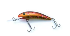 wobler-gloog-kalipso-60sdr-tn