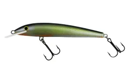 wobler-gloog-nike-100-rgf