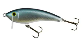 wobler-gloog-hermes-70-rbn