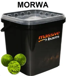 massive-baits-eco-boilies-18mm-mulberry-3-kg