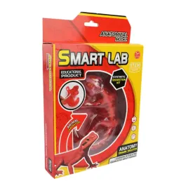 smart-lab-anatomia-gekona
