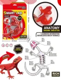 smart-lab-anatomia-gekona-stan-nowy