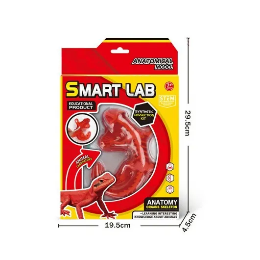smart-lab-anatomia-gekona-stan-nowy