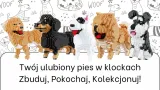 sherry-maly-klocki-934-el