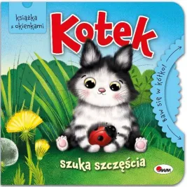 kotek-szuka-szczescia-baw-sie-w-kolko