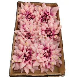 dalia-duza-karton-24-szt-rozowa