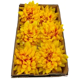 dalia-duza-karton-24-szt-pomaranczowa
