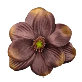 magnolia-wyr-brazowa-24-szt