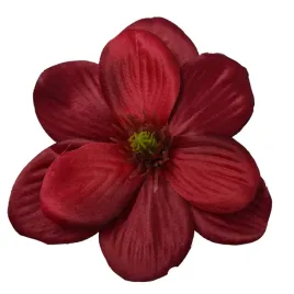 magnolia-wyr-bordowa-24-szt