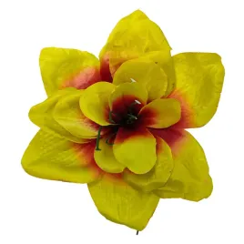 clivia-wyr-burgund-green-12-szt