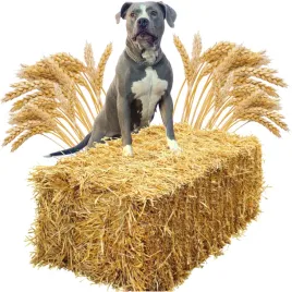 sloma-do-budy-8-kg-wysciolka-dla-psa-kota-krolika-kurinka-kostka-duza-xxl