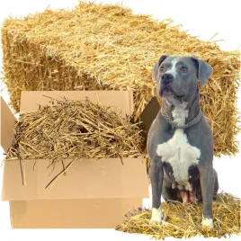 sloma-do-budy-4kg-wysciolka-dla-psa-kota-krolika-kurinka-karton-polowka-xxl