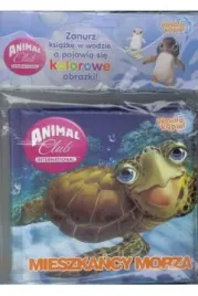 animal-club-wesola-kapiel-mieszkancy-morza