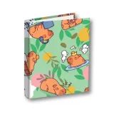 segregator-a5-2-kapibara