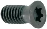 sruba-torx-do-apkt1003
