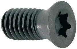 sruba-torx-do-apkt1003