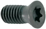 sruba-torx-16t3