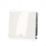 lacznik-dwubiegunowy-bmw2-01-11-basic-modul-bialy-rodzaj-wylacznik