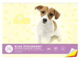 interdruk-blok-rysunkowy-a3-kolorowy-barwiony-20-kartek