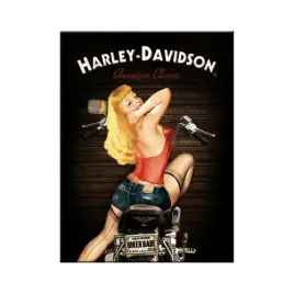 magnes-na-lodowke-harley-davidson-biker-babe