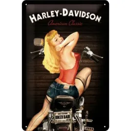 metalowy-plakat-20-x-30cm-harley-davidson