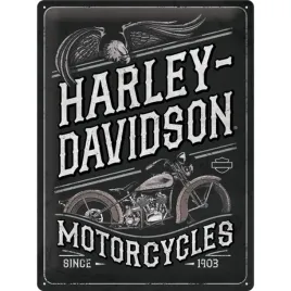 metalowy-plakat-30x40cm-harley-davidson-eagle