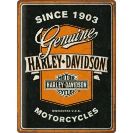 plakat-30x40-harley-davidson-ribbo