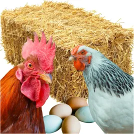 naturalna-kostka-slomy-8-kg-idealna-podsciolka-dla-kur-niosek-i-drobiu-xxl