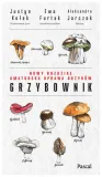 grzybownik-justyn-kolek