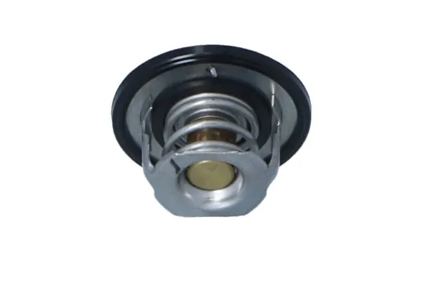termostat-subaru-forester-08-