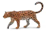 lampart-afrykanski-collecta