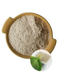 shiso-pachnotka-perilla-mielone-nasiona-w-proszku-do-salatek-na-wage-50g