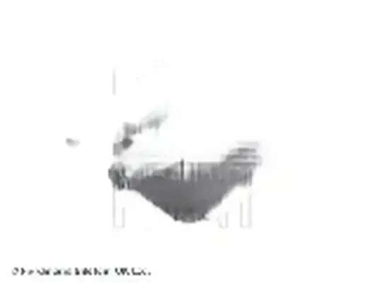 cewka-zaplonowa-bp-blue-print-adc41454-numer-katalogowy-oryginalu-mitsubishi-md314583
