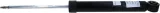 sachs-amortyzator-313-251