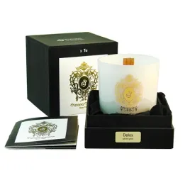 tiziana-terenzi-delox-swieca-zapachowa-170g