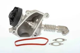zawor-egr-db-om611-wahler