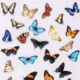 folia-transferowa-spring-100-cm-nr-5-stan-nowy