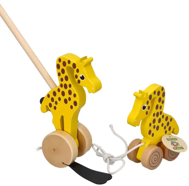 nature-planet-zyrafa-do-pchania-wiek-dziecka-0