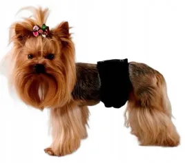 majtki-ochronne-dla-psa-samca-grande-finale-pampas-rozmiar-1-czarny