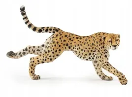 gepard-grzywiasty-biegnacy