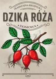 10-sztuk-naklejki-75x107-dzika-roza-etykiety-samoprzylepne