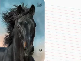 interdruk-zeszyt-a5-linia-dwukolorowa-16-kartek-w-linie-wild-horses-kon